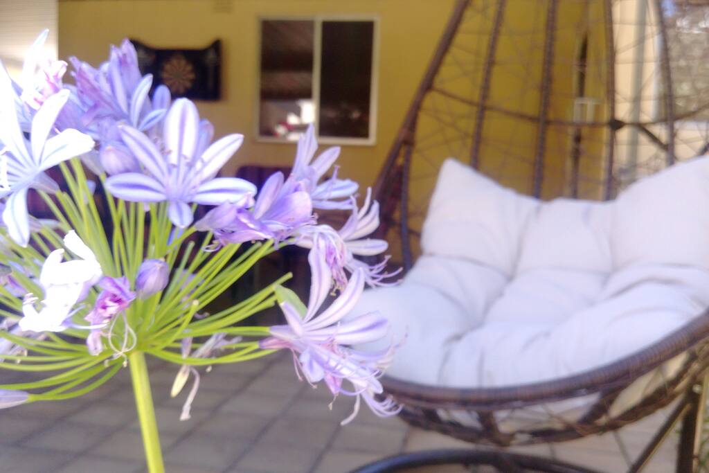 Patio space overlooks the garden