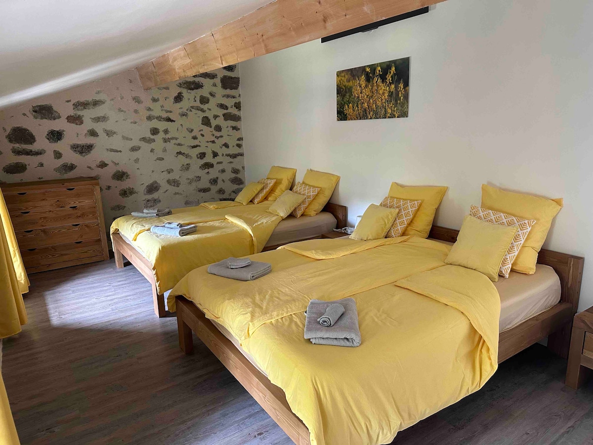 Dva kreveta 160x200 u žutoj spavaćoj sobi