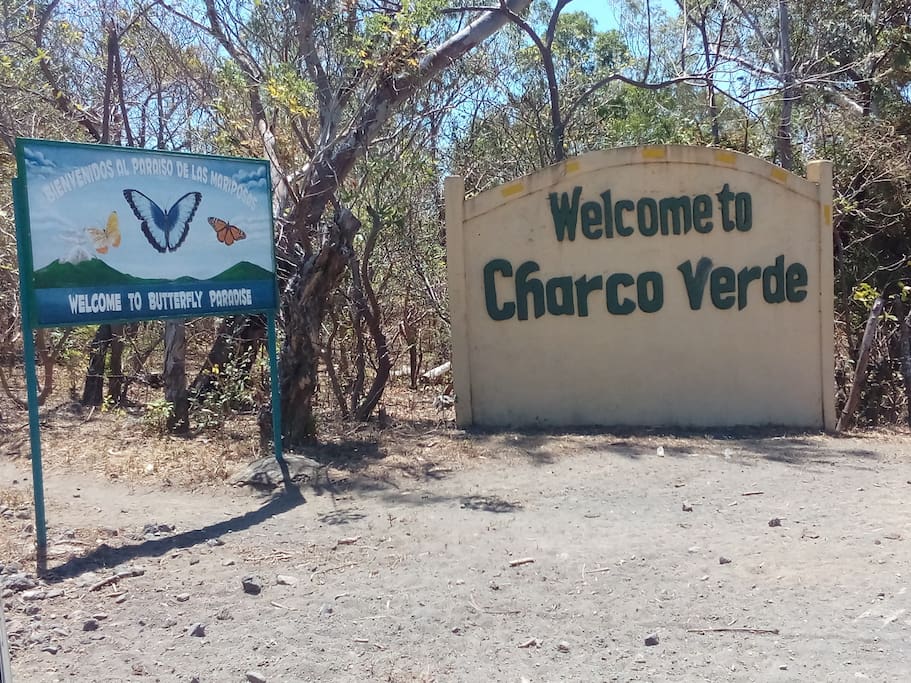 para pasar rodeado de la naturaleza