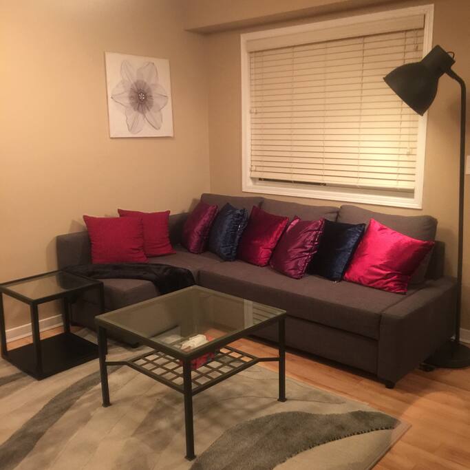 Comfortable living room. The sofa can be used as a bed