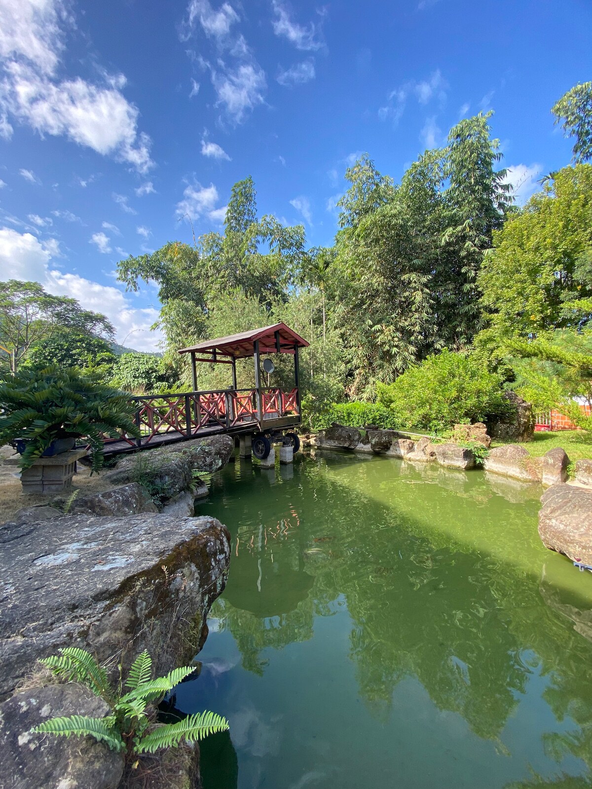 A wooden bridge with a red canopy crosses over a tranquil green pond, surrounded by lush greenery and large rock formations. The clear blue sky features scattered clouds, enhancing the serene outdoor setting.