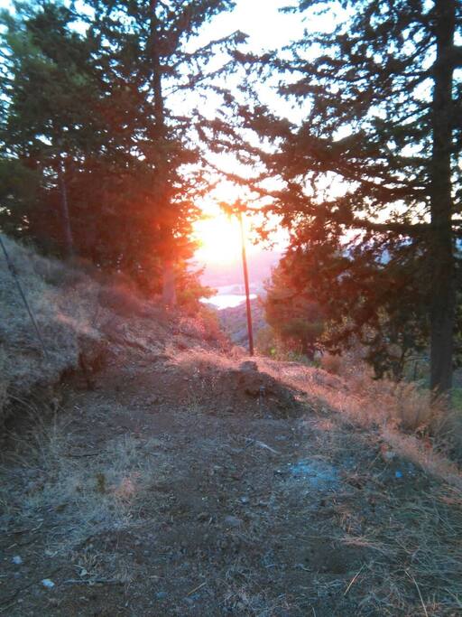 Sunset as seen from the yard