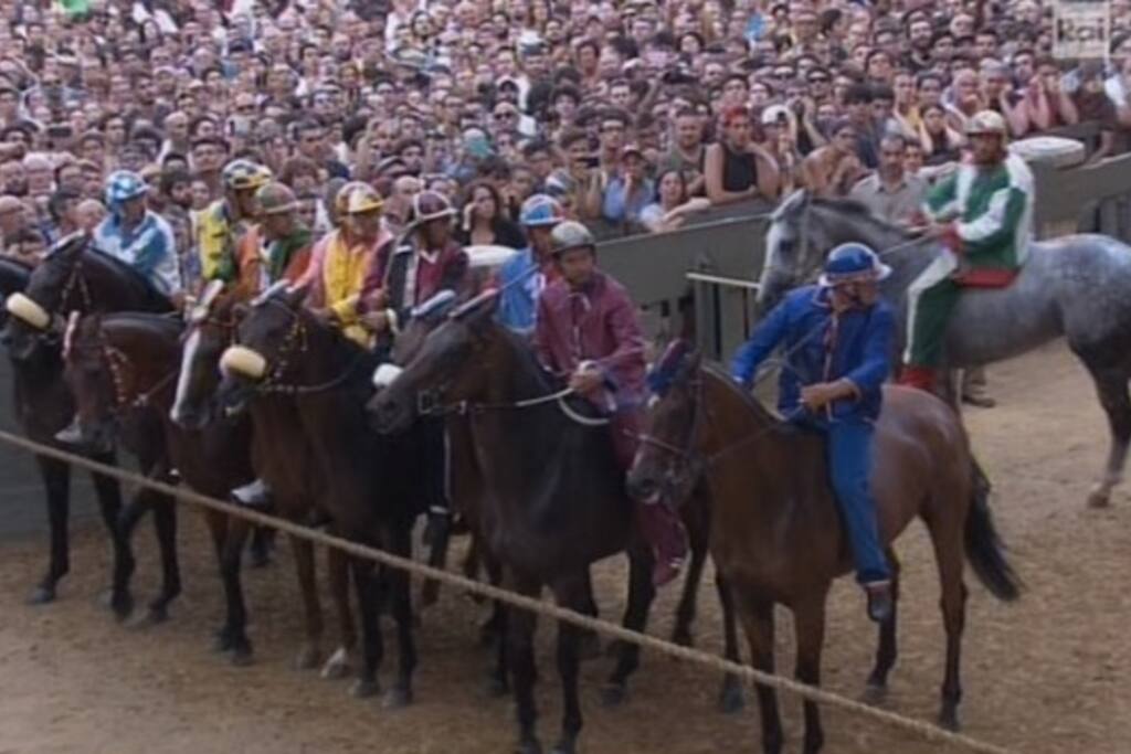 palio festival:
the start or "mossa"
2 july and
16 august
il palio di siena:
la partenza o "mossa"
2 luglio
16 agosto