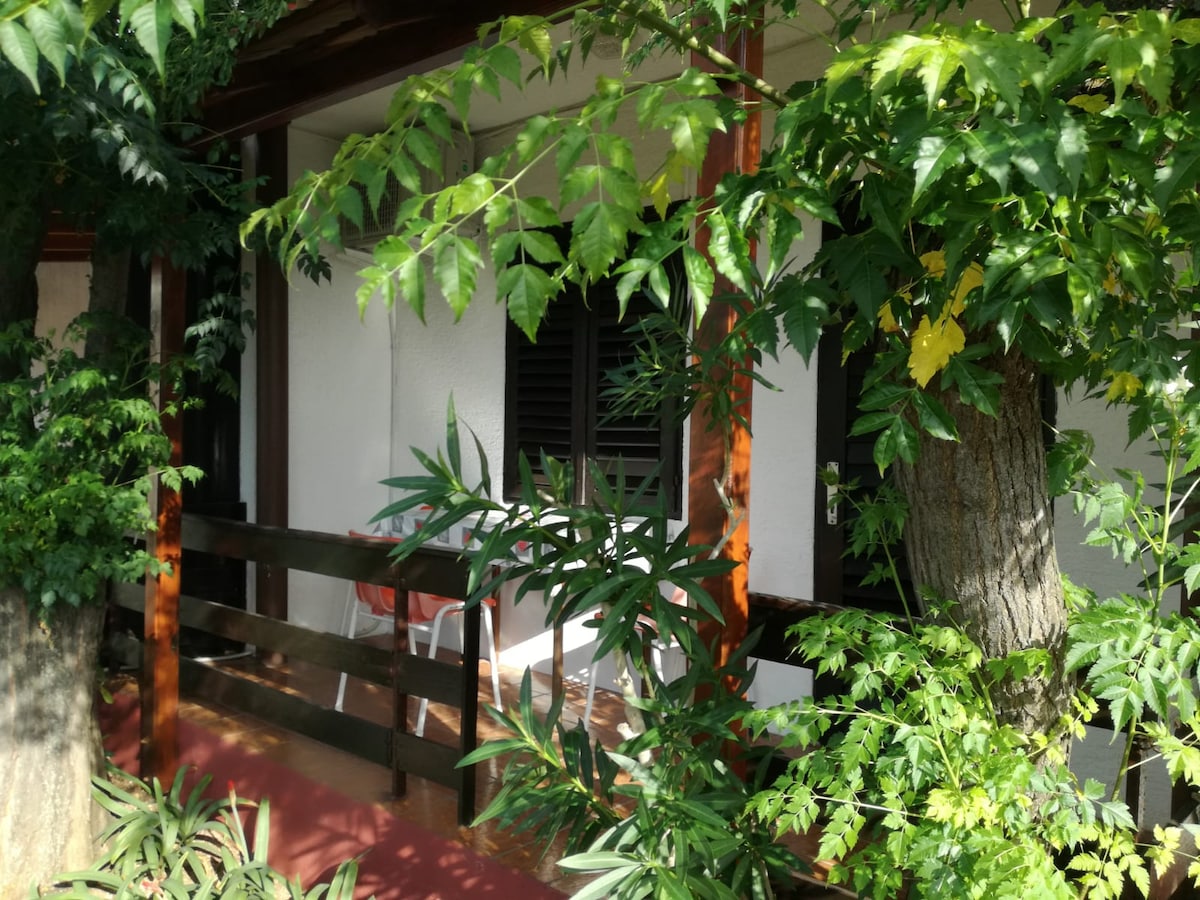 A serene outdoor area is framed by lush greenery, with leafy plants creating a natural barrier. A wooden railing features two simple chairs, providing a quiet space for relaxation. The sunlight filters through the leaves, enhancing the peaceful surroundings of the entrance.
