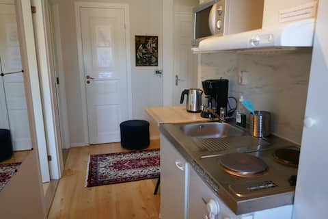 Top performing Airbnb: Modern apartment in a villa in a quiet and peaceful environment. in Lidköping