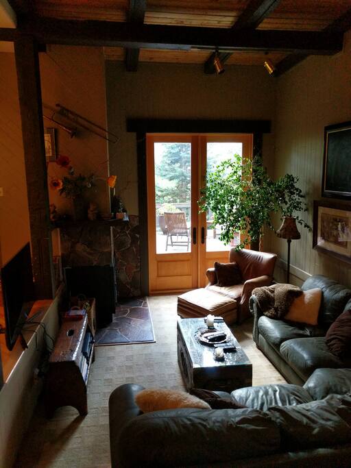 Living room with gas fire place.