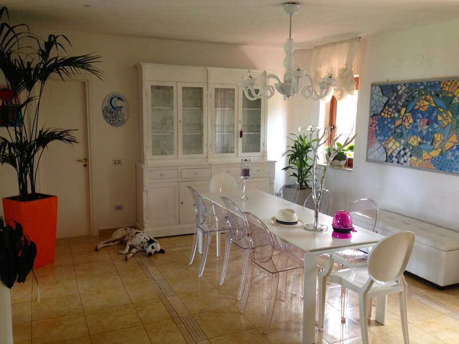 Living Room (with our lovely Milo)