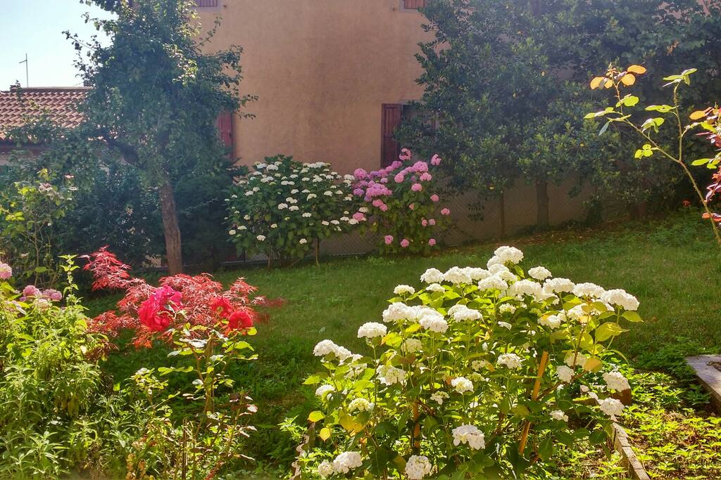 Il giardino