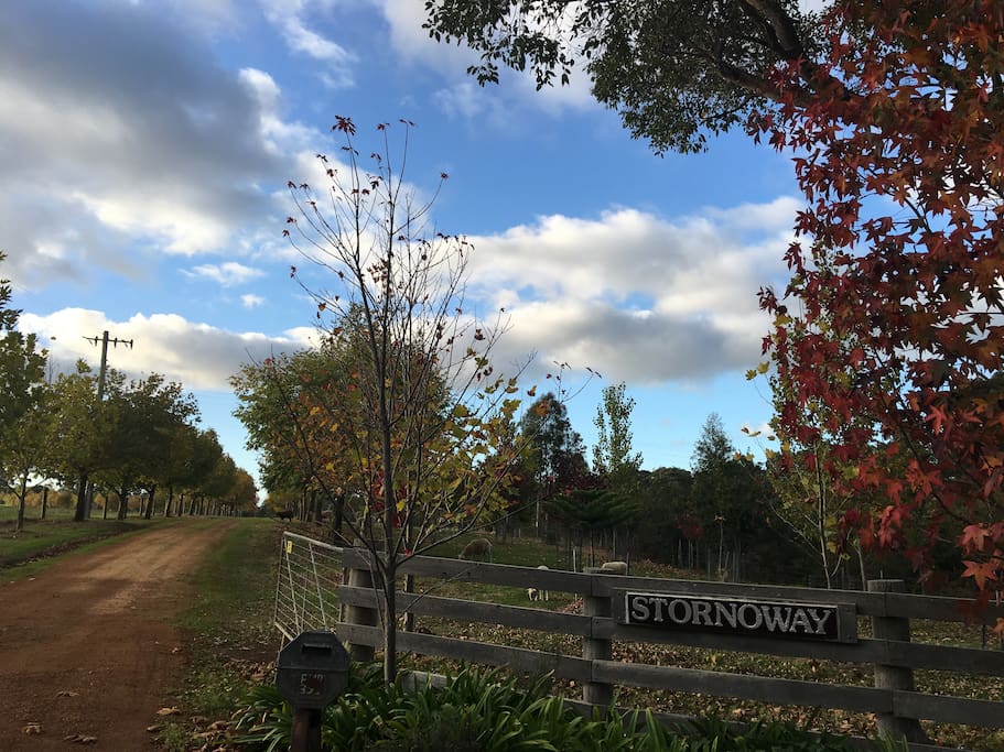 Beautiful Stornaway Farm Entrance