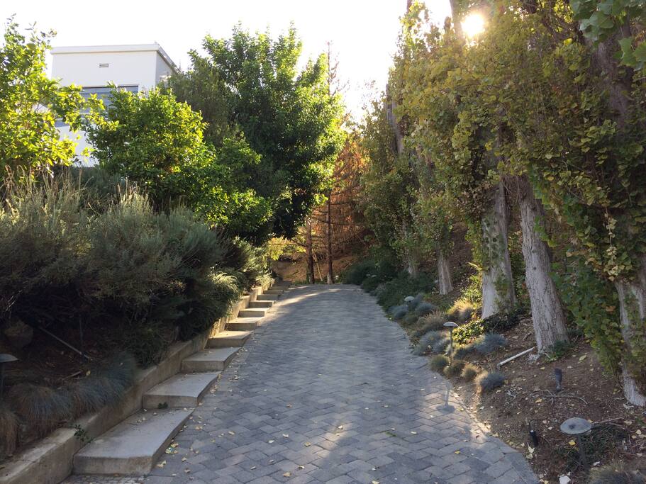 driveway
