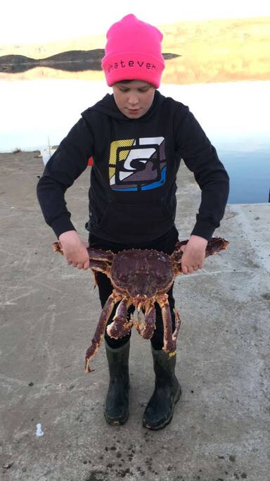 nok av kongekrabbe i fjorden :)