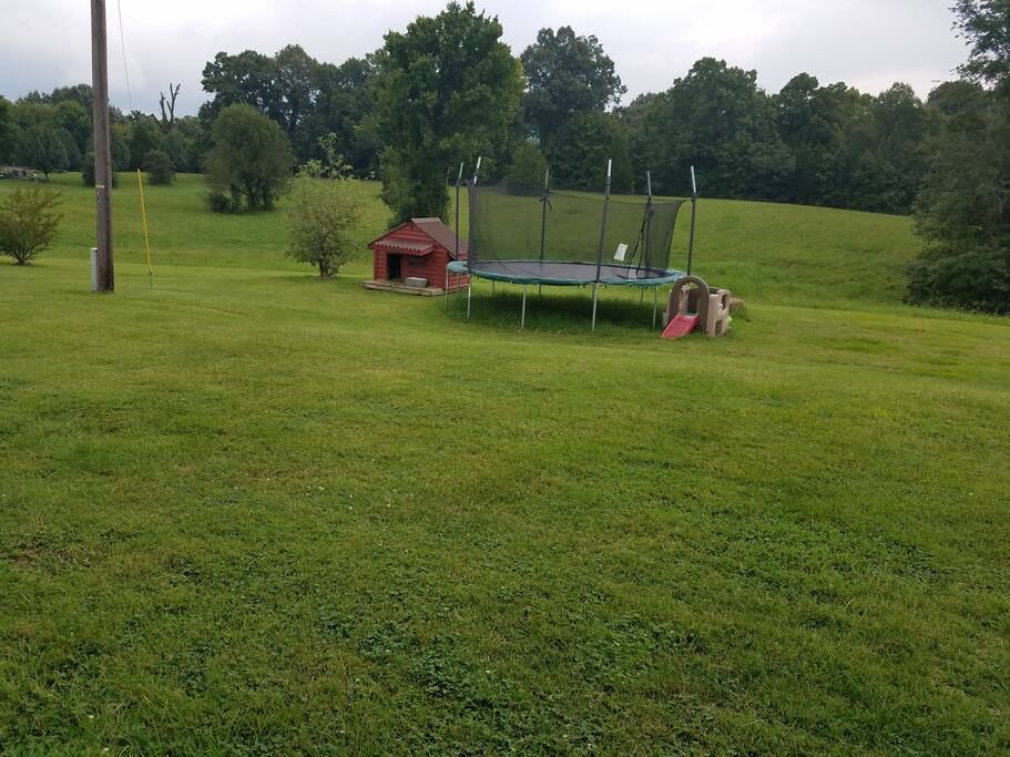 Back yard