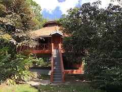 Beautiful+treehouse+in+rainforest