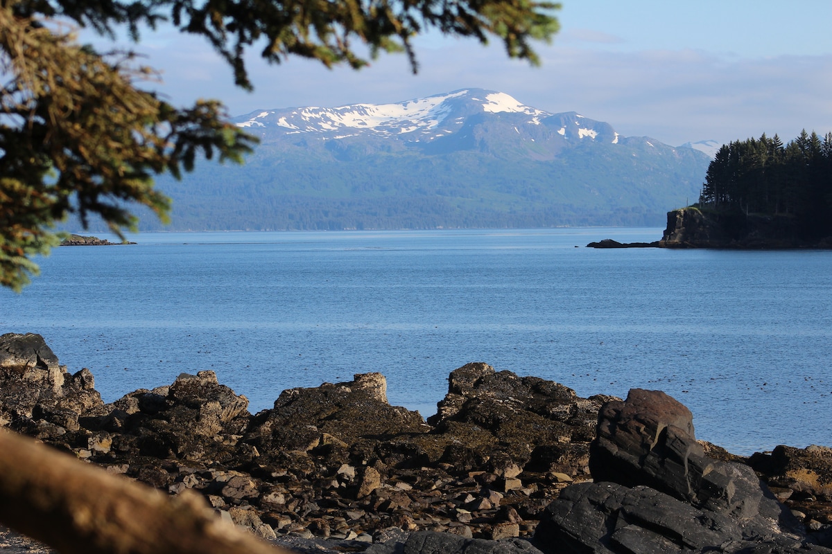 A serene waterfront scene is captured, featuring gently rippling water stretching toward a distant mountain peak. The foreground showcases rugged rocks with patches of greenery, framed by tree branches that provide a natural border to the tranquil landscape.