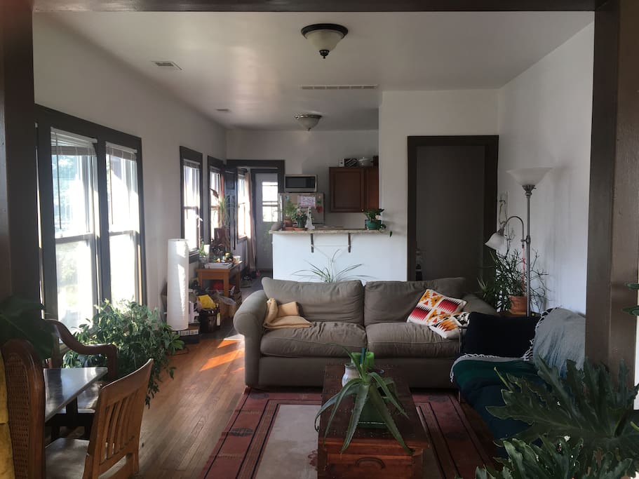 Living room with plants and generous light