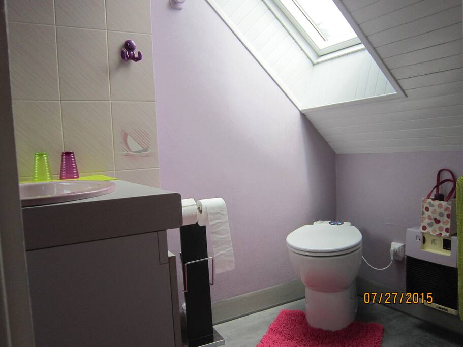 espace lavabo, douche et WC attenant et clos
