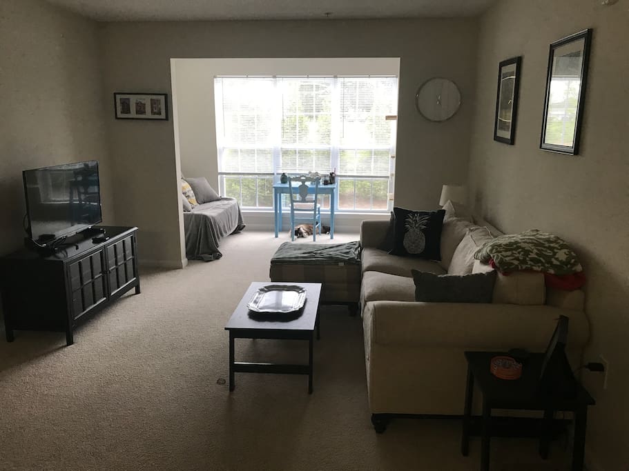Living/Sun Room