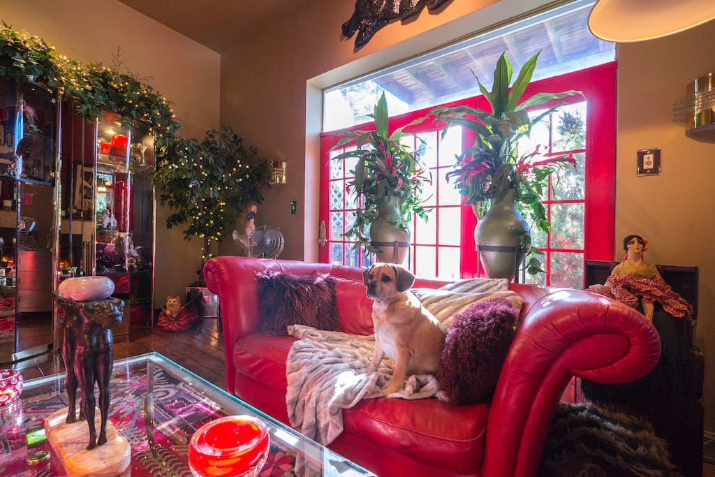 Living Room with Tucker