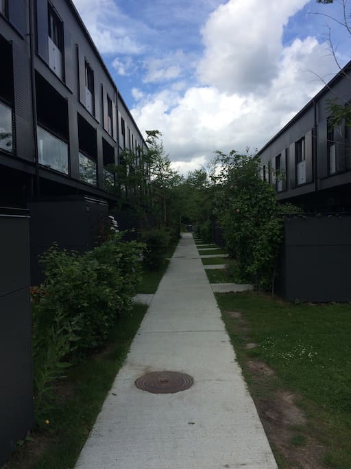 View from outside