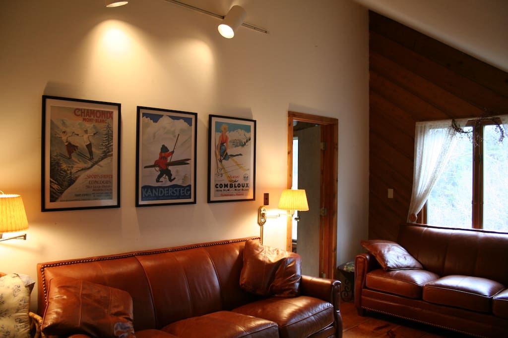 Cozy Leather Couches