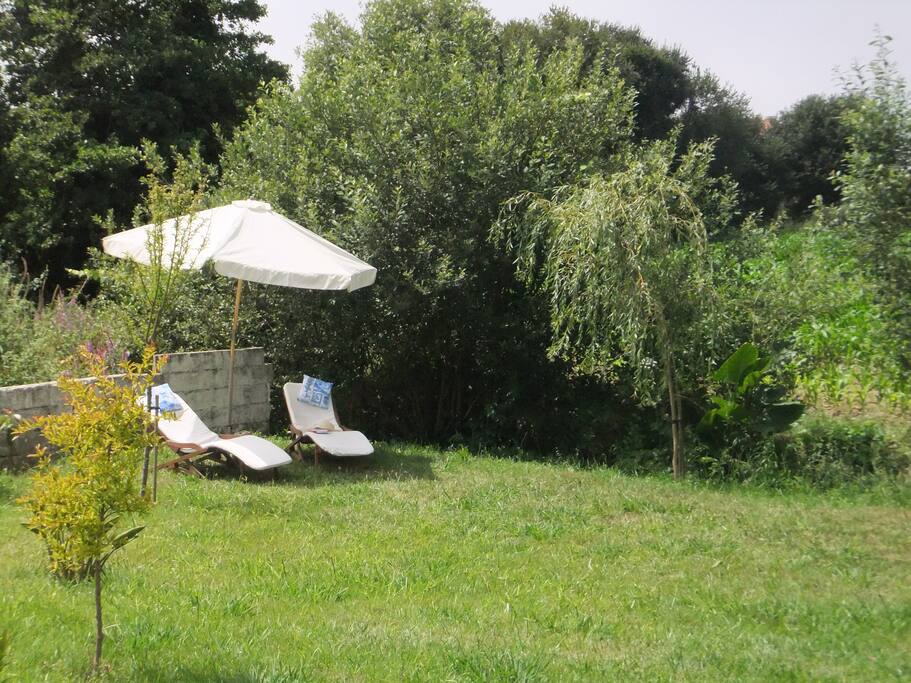 relax in the garden after a Ocean walk