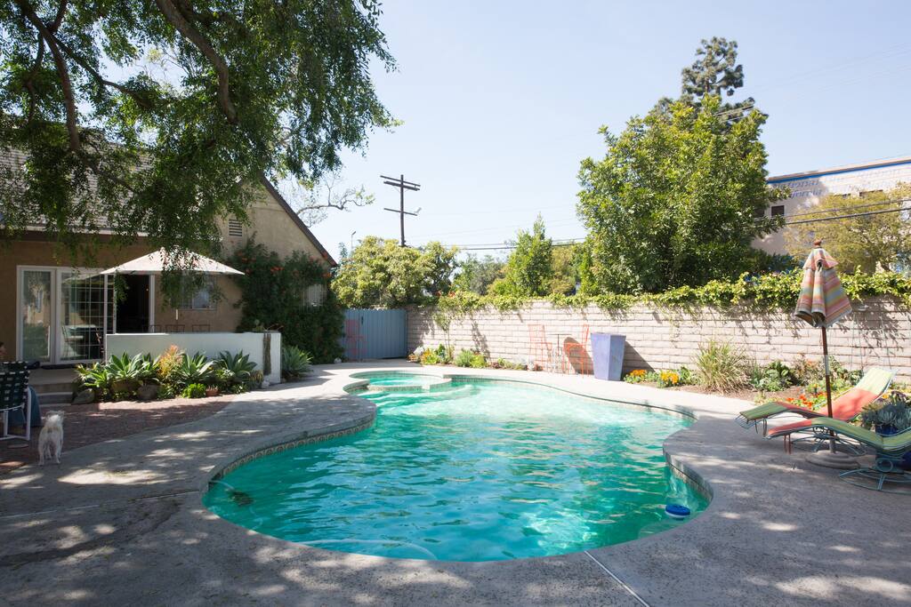 West-facing view of the pool & house.