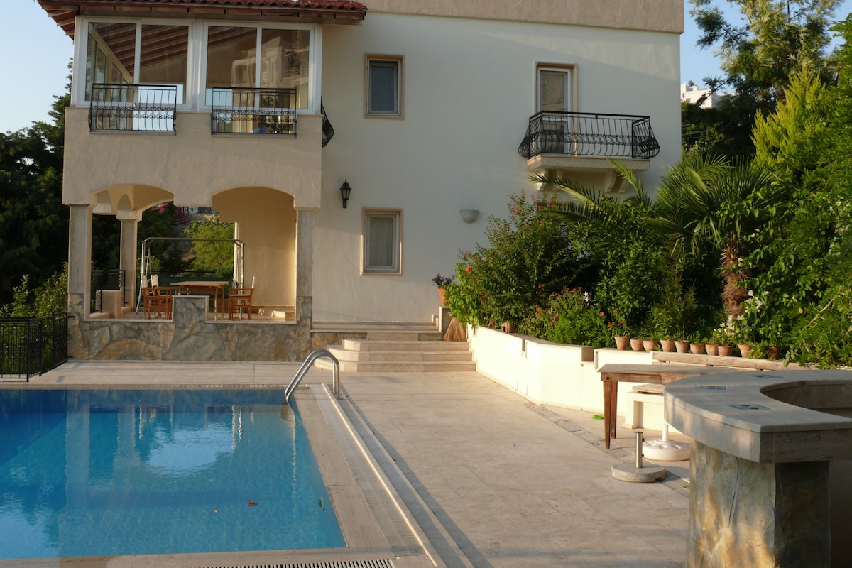 The villa features a well-maintained outdoor space with a private swimming pool reflecting the surroundings. Nearby, a shaded terrace offers dining options, complemented by lush greenery and various plants. The home's elegant architecture is accented by a spacious balcony, providing additional outdoor seating.