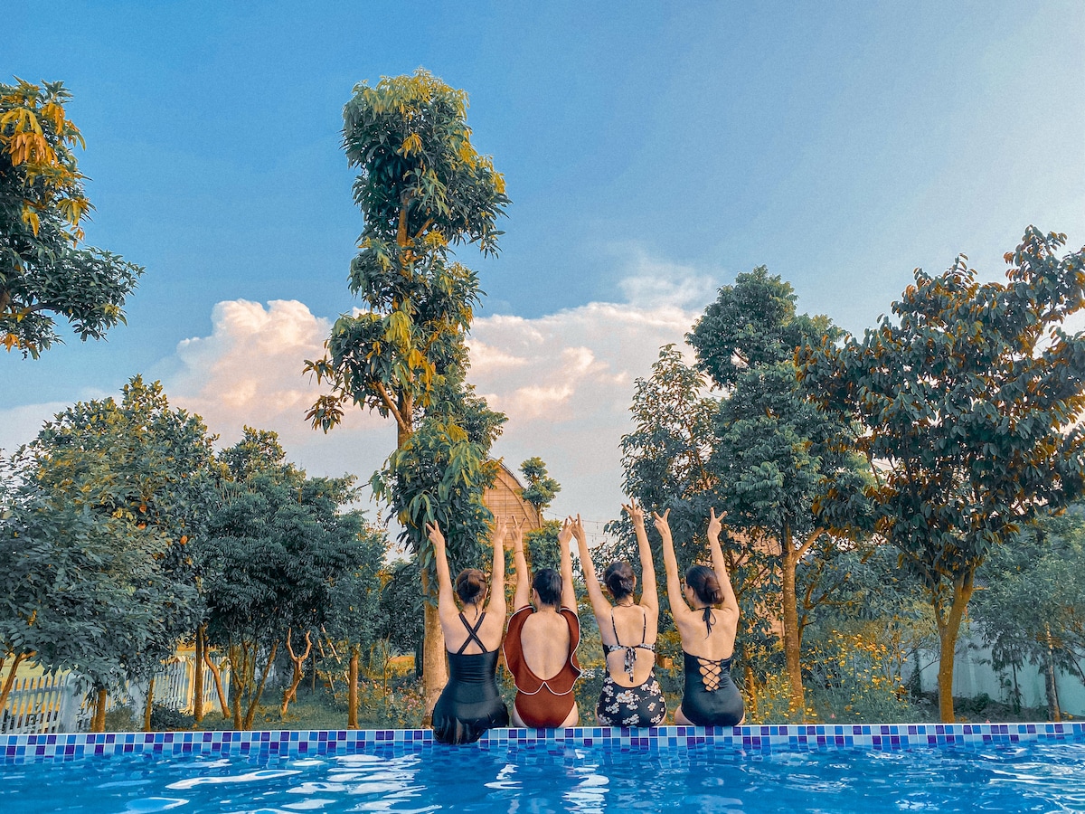 Five individuals are seated at the edge of a swimming pool, with their backs toward the camera. Their arms are raised, reaching toward the clear blue sky. Lush greenery surrounds the pool area, and the warm light of the sunset casts a gentle glow on the scene.