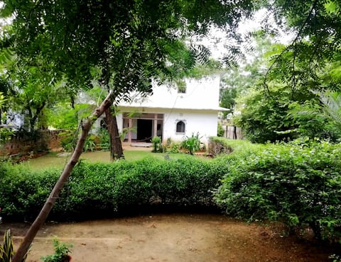 Hathi Gaon Vacation Rentals Homes Rajasthan India Airbnb