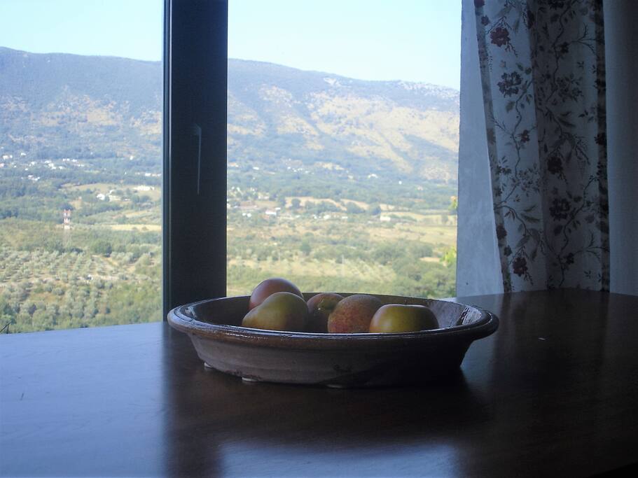 vista dalla cucina