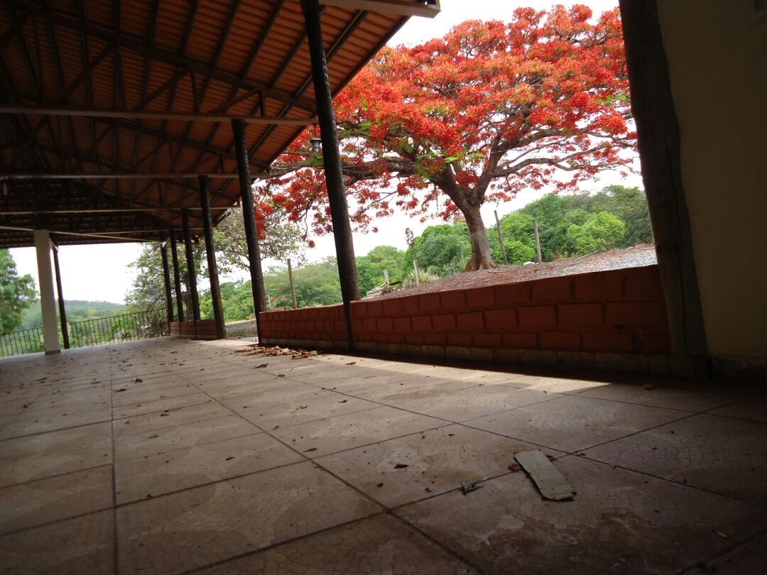 An open outdoor space features a tiled floor and is framed by a roof supported by wooden beams. A vibrant red flowering tree is positioned just outside, providing a natural backdrop to the serene environment. Lush greenery is visible in the distance.