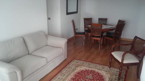 Successful Airbnb property: Temuco Apartment, Parking, in Temuco
