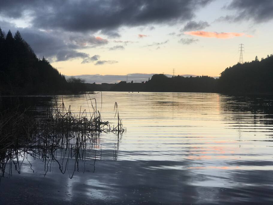 An early evening walk on Lake Rotoehu