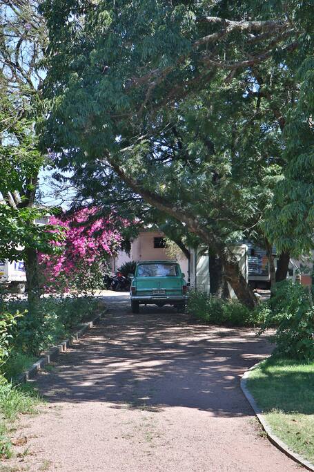 camino interno, hacia la Bodega Familia Irurtia