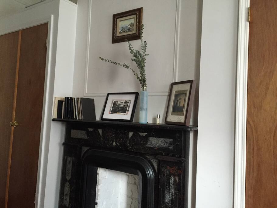Fire place and mantel between two of THREE closets to store luggage and hang up clothes