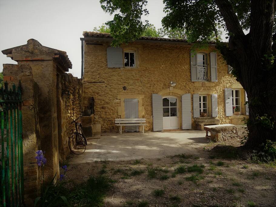 Extérieur, grande terrasse à l'ombre d'un vieux tilleul