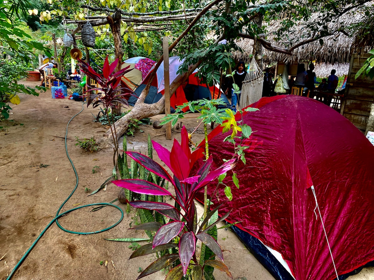 A collection of colorful tents is set within a lush, green environment, surrounded by vibrant foliage. The area features sandy ground and is framed by trees, offering a sense of seclusion. Nearby, a thatched structure and individuals can be seen in the background.