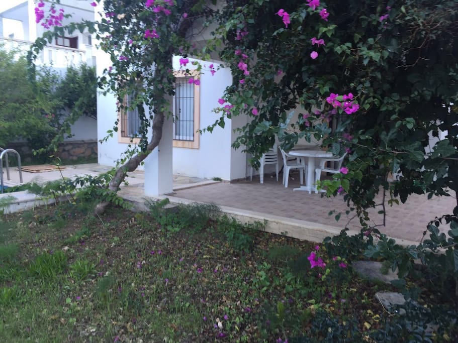 Evin ön bahçesi