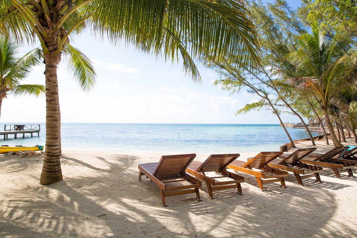 A sandy beach area is shown featuring several wooden lounge chairs lined up under palm trees. The calm ocean extends into the distance, with soft waves lapping at the shore. A wooden dock is visible to the left, adding to the tranquil seaside setting.