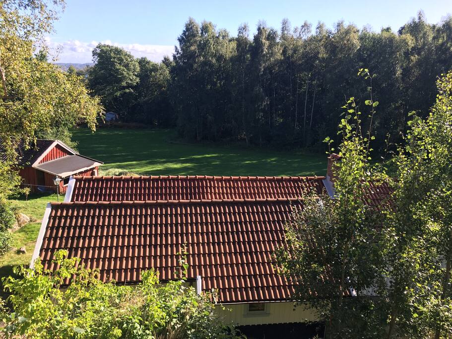 Utsikt