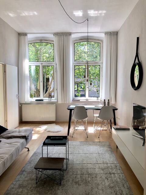 Helle zentrale Wohnung in der Innenstadt