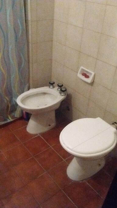 ARTEFACTOS SANITARIOS PROLIJOS