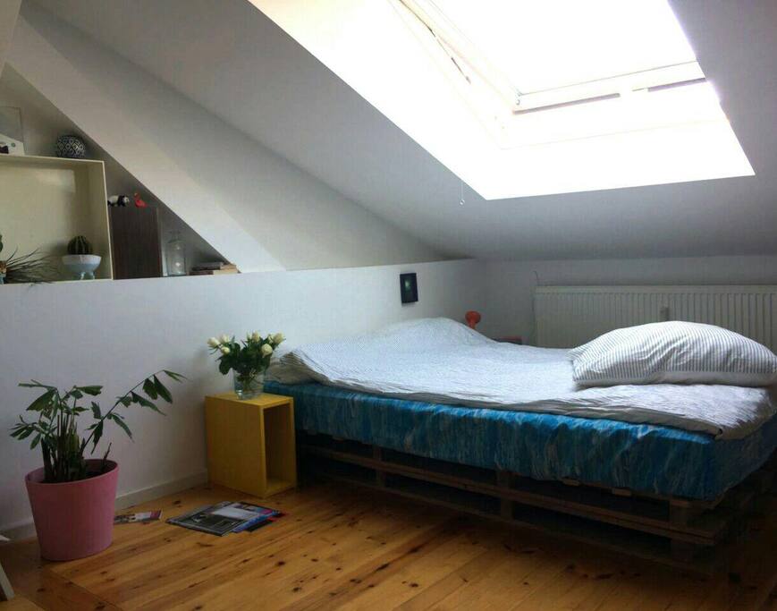 Double bed to look into the stars at night