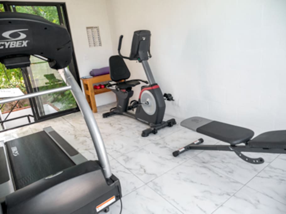 small gym, professiona equipment