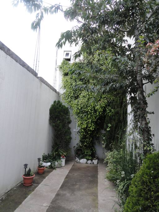 Area de Jardin