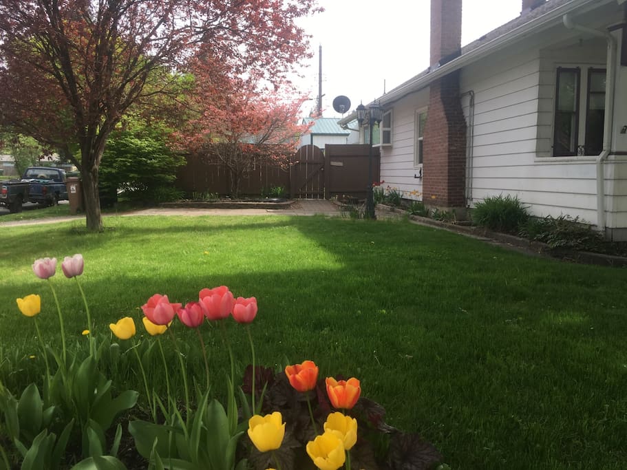 Its Bloomsday weekend in Spokane! Southerly view of the private, garden gate that is guest's entrance for the pilgrim's couch or cot.