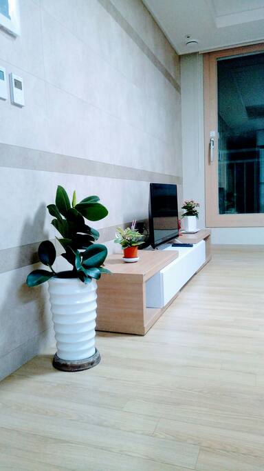 TV