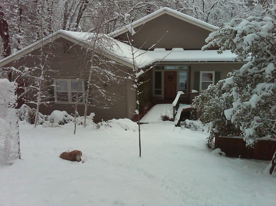 wintertime view