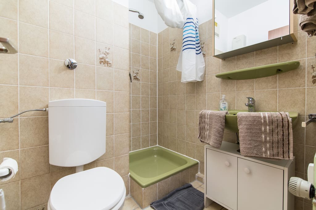 Shower room/ Cuarto de baño con ducha