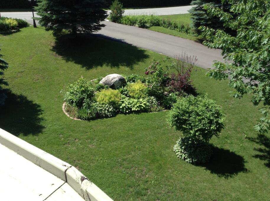 Front garden with lots of walking, hacking trails backing on to property